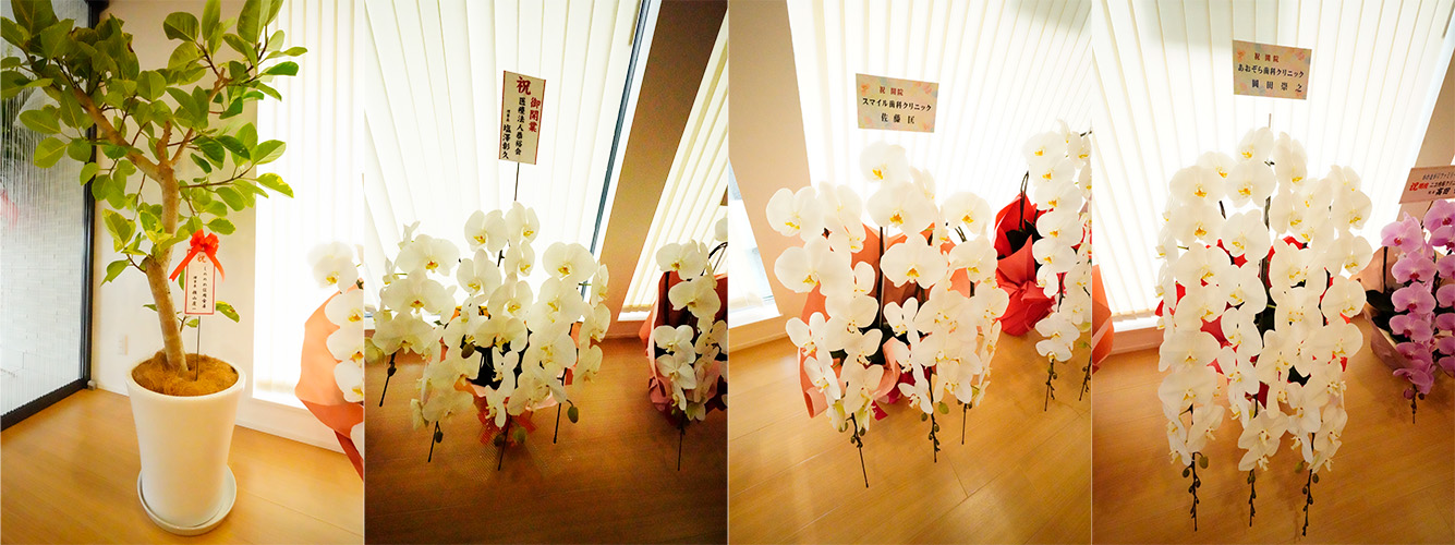 お祝い写真・かわまがりファミリー歯科